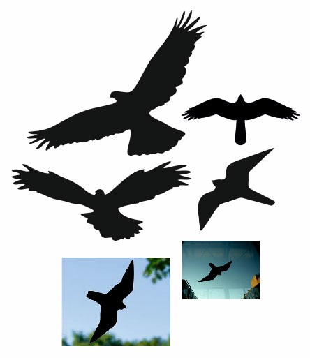 linnuohutus kleebised klaasidele